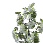 Decorative plant Bean flowers in a pot Inart white pp H125cm - Слика 2