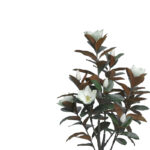 Decorative plant Mangola I in a pot Inart white pp H155cm - Image 2