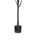 Decorative plant Mangola I in a pot Inart white pp H155cm - Image 3