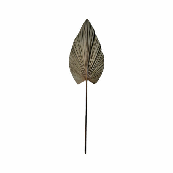 Deco flower Leafen I Inart natural palm leaf