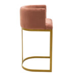 Bar stool Viv rotten apple velvet - golden metal 54x50x95cm - Слика 4