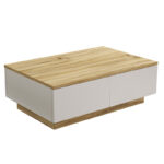 Coffee table Thunder sonoma-white color 90x60x31.5cm