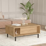 Baron coffee table with storage space in natural shade 90x60x37.6cm - Image 3