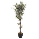 Potted plant Green19 D50x120cm