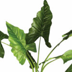 Potted plant Jovan 125x100x124cm - Image 2