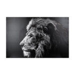 Wall art canvas with frame Lionner mdf 118x3x78cm