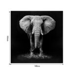 Wall art canvas Elephie mdf 100x3x100cm - Слика 2