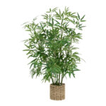 Саксиско растение Белица Д45x100 см