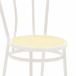 Vienna chair pe rattan beige-metal ecru - Image 5