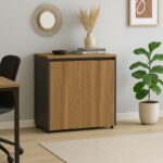 Professional low cabinet Oscar in walnut-anthracite color 80x40x80cm - Слика 2