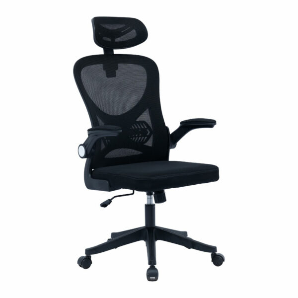 Office chair manager Anthony mesh black