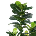 Decorative plant Fiddlehead in a pot Inart green pp H120cm - Image 2