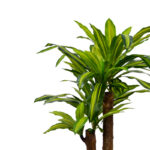 Decorative plant Dracaena in a pot Inart green pp H110cm - Слика 2