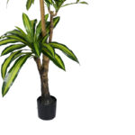 Decorative plant Dracaena I in a pot Inart green pp H170cm - Image 3