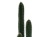 Decorative plant Cactus III in a pot Inart green pp H85cm - Слика 2