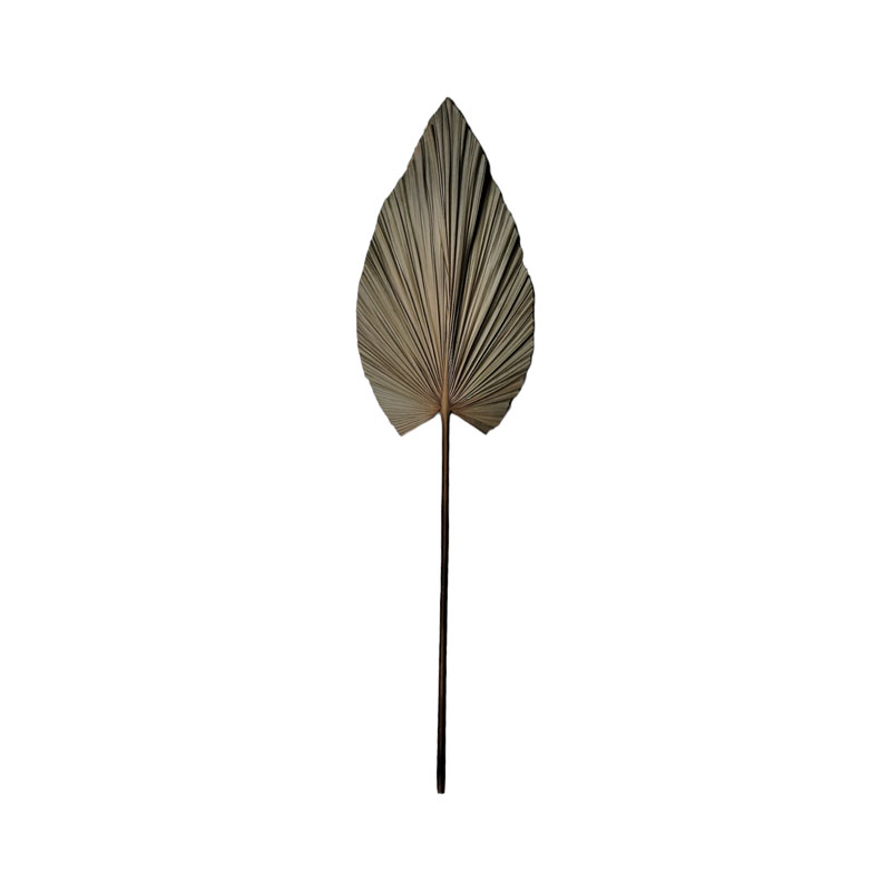 335-000015 Deco flower Leafen I Inart natural palm leaf 121cm - Image 1