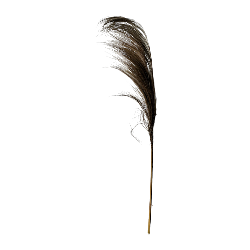 335-000016 Deco flower Pampas Inart natural rayung - Image 1