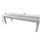 Table Pablo teak wood in natural shade 300x100x76cm - Слика 6