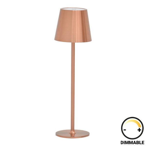 Brave Ι LED touch table lamp rechargeable in bronze color D11.5x37cm