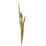 Deco pampas leaf Beroun Inart set of 3 pieces in natural color H140cm - Слика 2