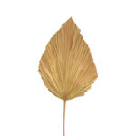 Deco leaf Walsy Inart palm leaf in natural color H135cm - Слика 2