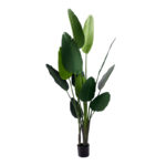 Декоративно растение палма во саксија Inart зелена pp В180 см