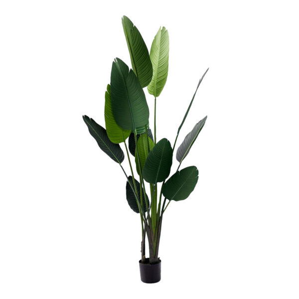 Декоративно растение палма во саксија Inart зелена pp В180 см