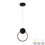 Ceiling luminaire led Gardio metal in black color 20x2x25cm