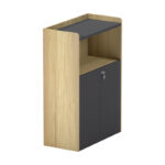 Professional low cabinet Lotus in natural-anthracite color 80x40x120cm - Image 4
