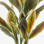 Decorative plant in pot Cycas Inart green D55x80cm - Слика 2