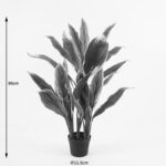 Decorative plant in pot Cycas Inart green D55x80cm - Слика 4