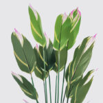 Ornamental plant in pot Lucky Inart green D80x180cm - Image 2