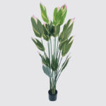Ornamental plant in pot Lucky Inart green D80x180cm