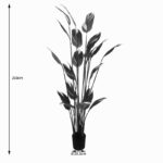 Ornamental plant in pot Lucky I Inart green D80x210cm - Слика 3