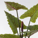 Decorative plant in pot Wentii Inart green D130x180cm - Слика 2