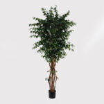 Decorative plant in pot Banyan Inart green D95x180cm