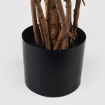 Decorative plant in pot Banyan Inart green D95x180cm - Слика 3