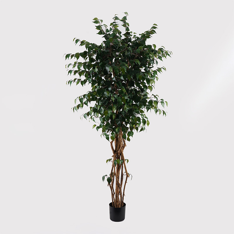391-000009 Decorative plant in pot Banyan Inart green D95x180cm - Слика 1