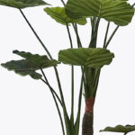 Decorative plant in a pot Taro Plant Inart green D90x180cm - Слика 2