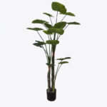 Decorative plant in a pot Taro Plant Inart green D90x180cm