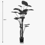 Decorative plant in a pot Taro Plant Inart green D90x180cm - Слика 3