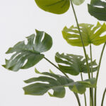 Decorative plant in pot Deliciosa Inart green D94x120cm - Слика 2