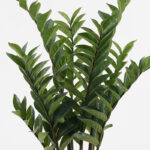 Decorative potted plant Zamia Inart green D52x88cm - Слика 2