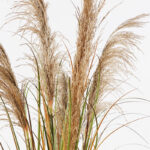 Decorative plant in a pot Bulrush Inart D65x120cm - Слика 2