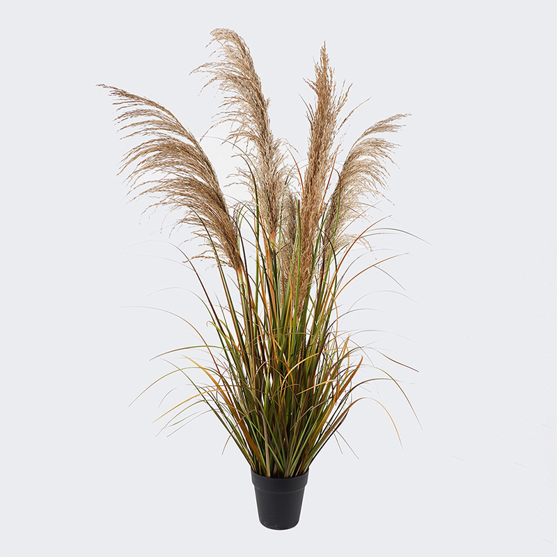 391-000022 Decorative plant in a pot Bulrush Inart D65x120cm - Слика 1
