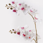 Decorative plant in a pot Orchid White Inart 36x17x65cm - Слика 2