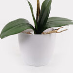 Decorative plant in a pot Orchid White Inart 36x17x65cm - Слика 3
