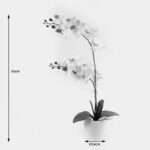 Decorative plant in a pot Orchid White Inart 36x17x65cm - Слика 4