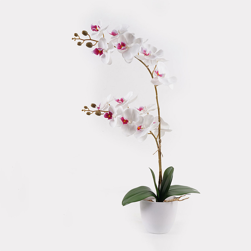 391-000024 Decorative plant in a pot Orchid White Inart 36x17x65cm - Слика 1