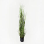 Decorative plant in a pot Boxwood Inart green D46x150cm